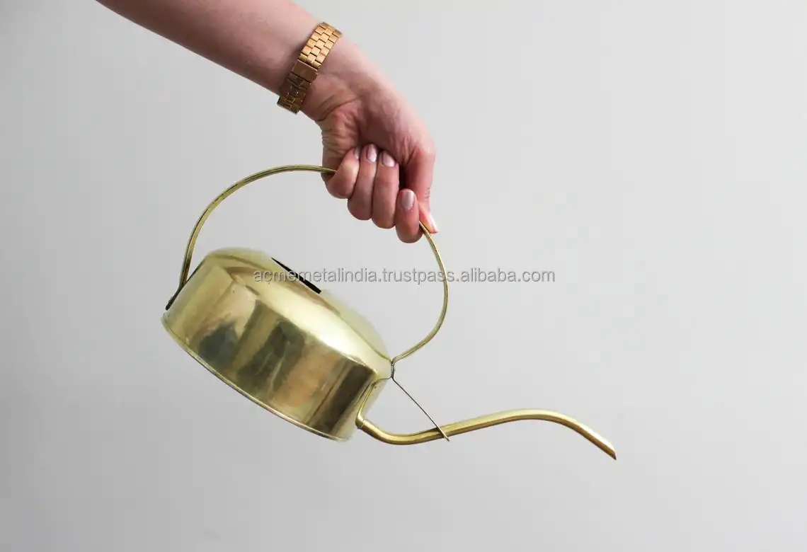 Vintage Design Brass Watering Can Best Seller Long Spout Metal Enamel Indoor Plants Mini Size Watering Can Wholesale Supply