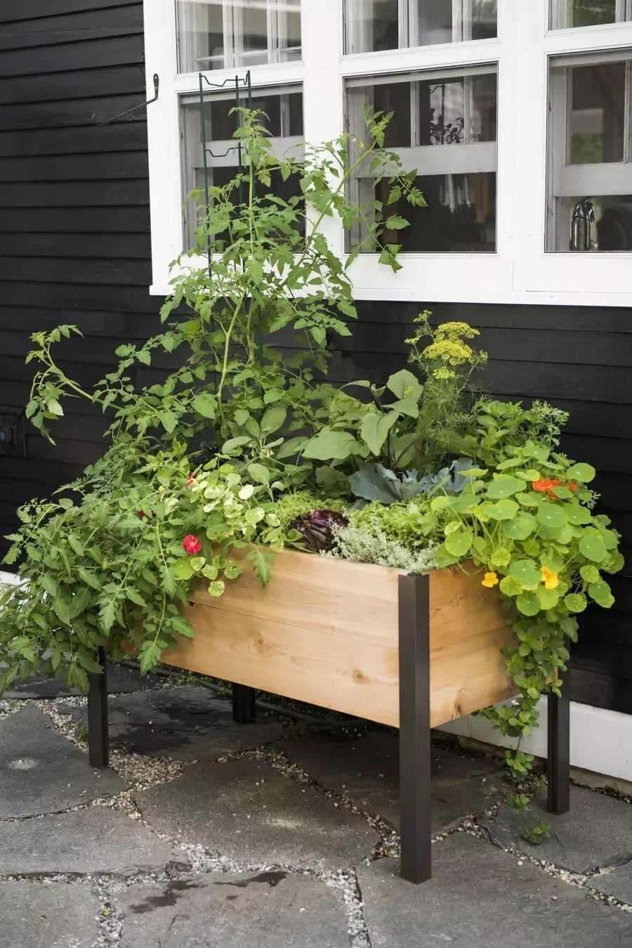 Watering Eco-Stained Elevated Planter Box