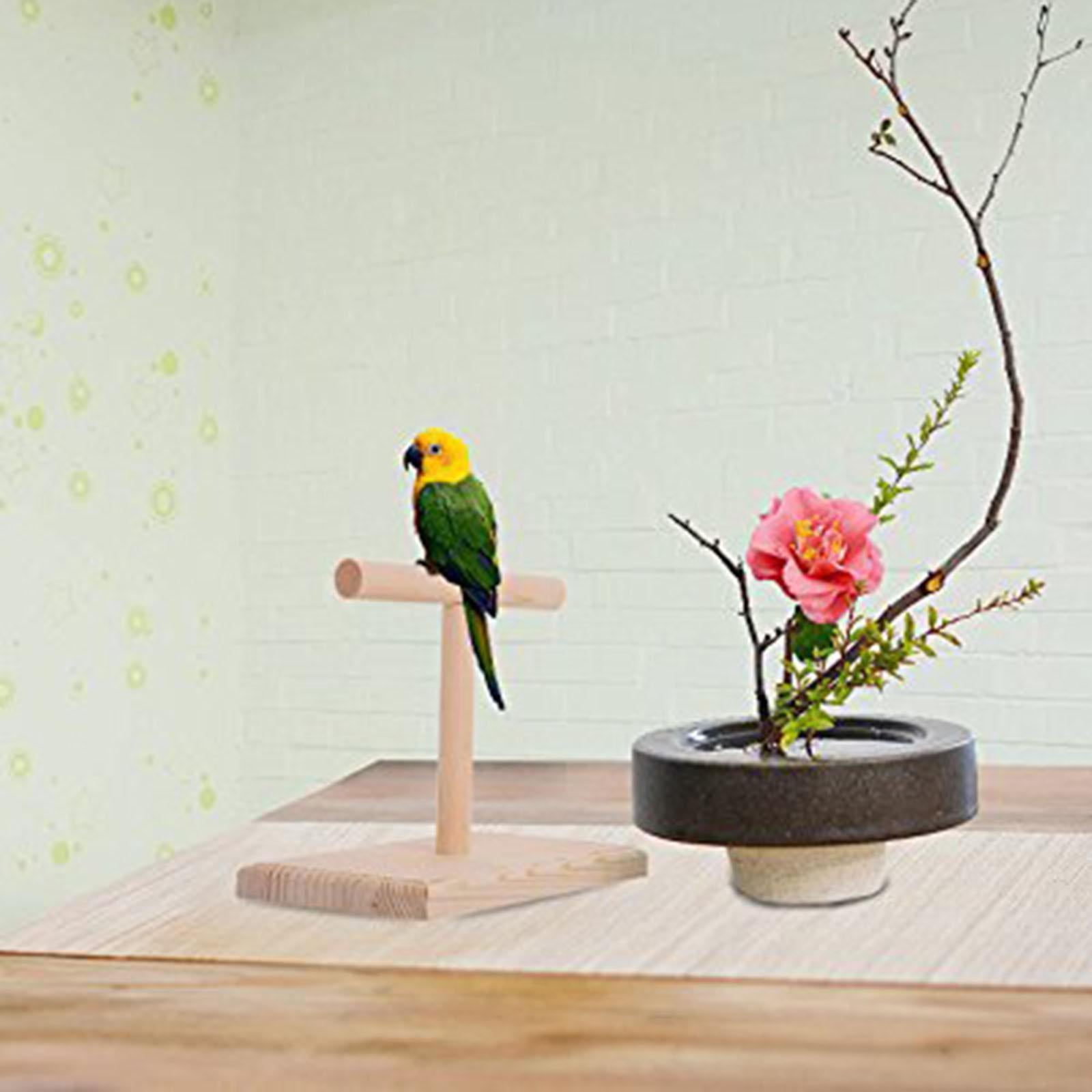 Bird Perch Finch Desktop Parrot Training Perches Branch