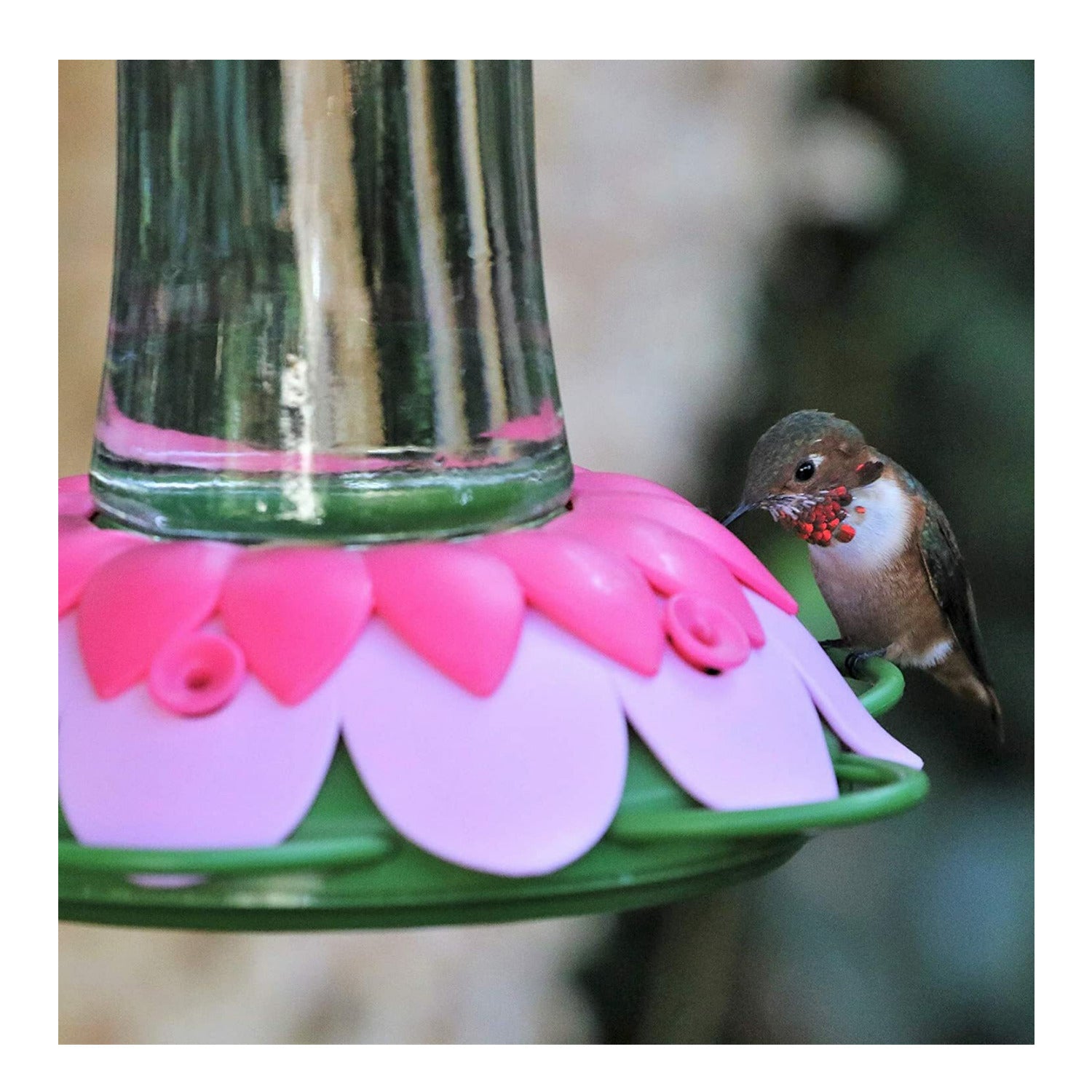 Nature's Way So Real Pink Fuchsia 20 oz Glass Hummingbird Feeder