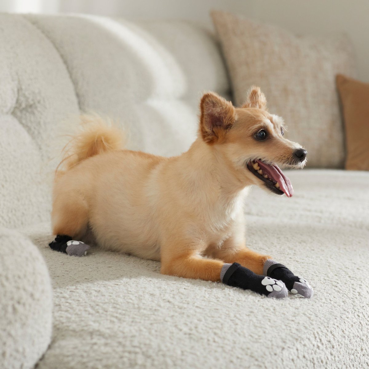 Frisco Non-Skid Dog Socks