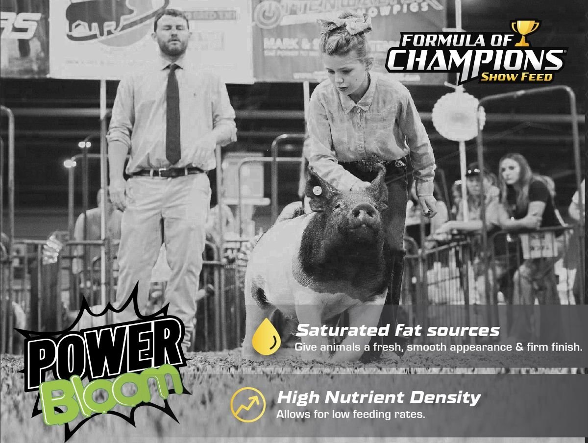 Formula of Champions Power Bloom Show Livestock Feed