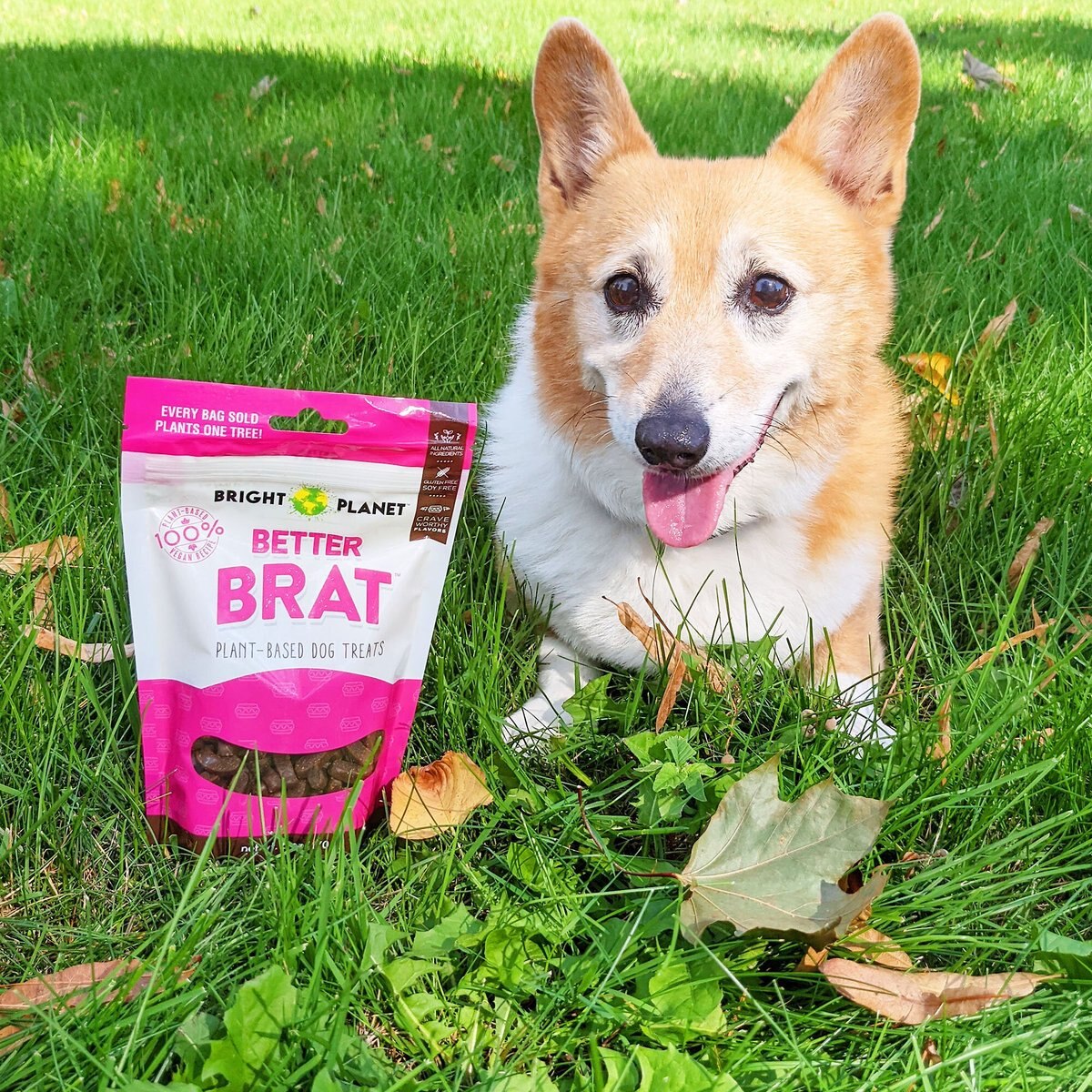 Bright Planet Pet Better Brat Plant-Based Dog Treats， 6-oz bag