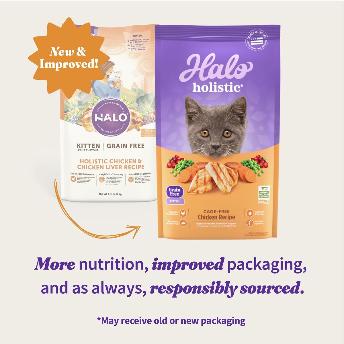 Halo Holistic Kitten Food Grain-Free Cage-Free Chicken Recipe Complete Digestive Health Dry Cat Food