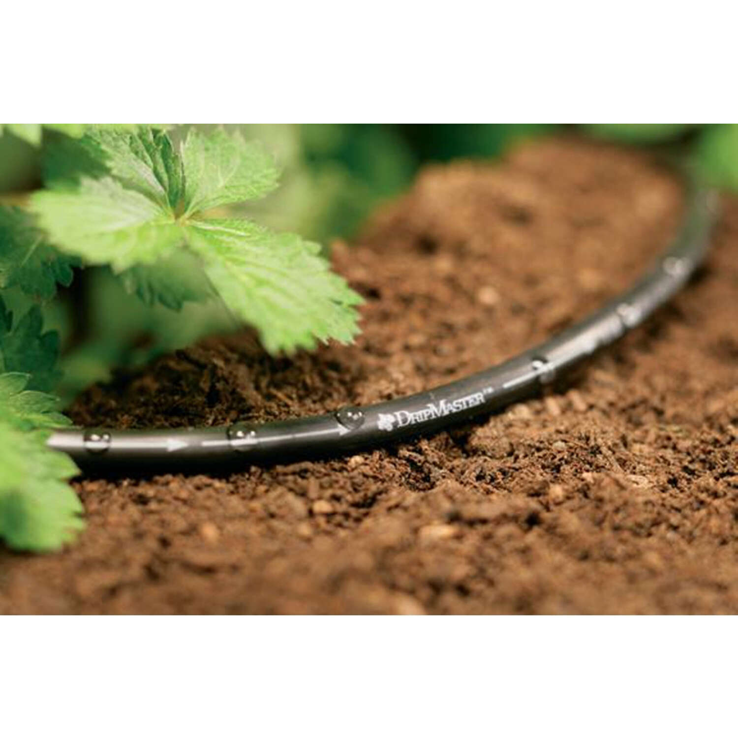 Orbit Polyethylene Drip Irrigation Soaker Tubing 1/4 in. D X 60 ft. L