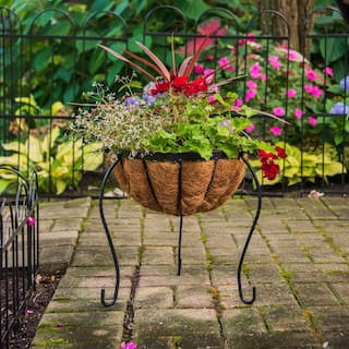 Gilbert  Bennett Canterbury 14 in. Metal Basket Stand Planter BSCB15-B