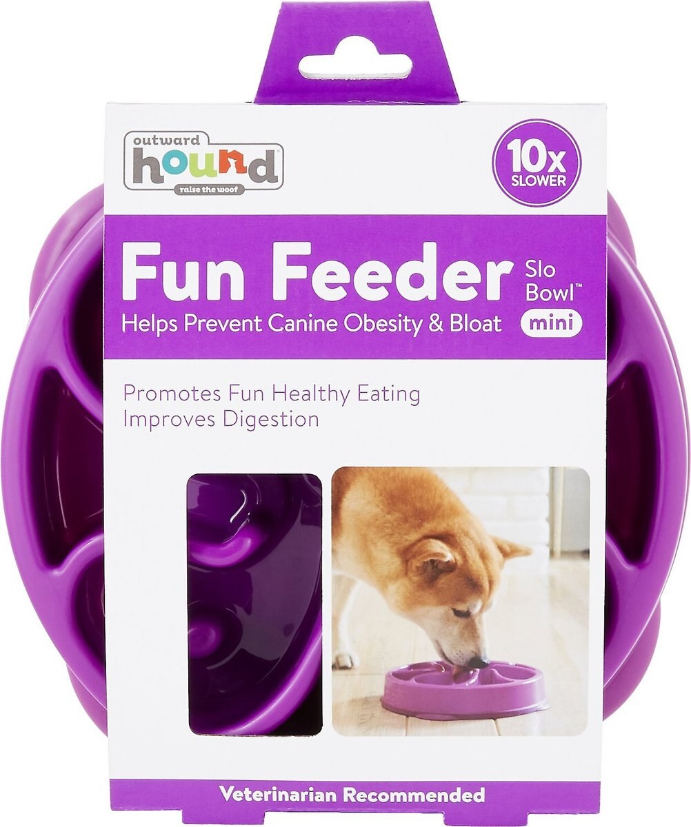 Outward Hound Fun Feeder Interactive Dog Bowl， Purple