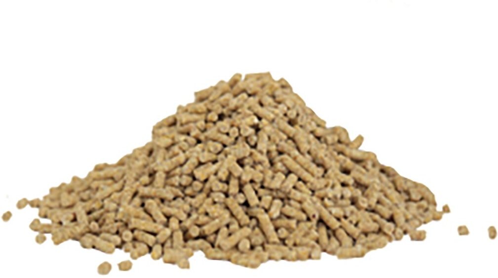 Kalmbach Feeds Organic 17% Layer Pellets Chicken Feed， 35-lb bag