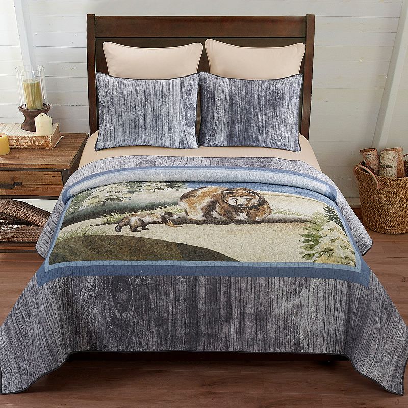 Donna Sharp Montana Morning Quilt Set