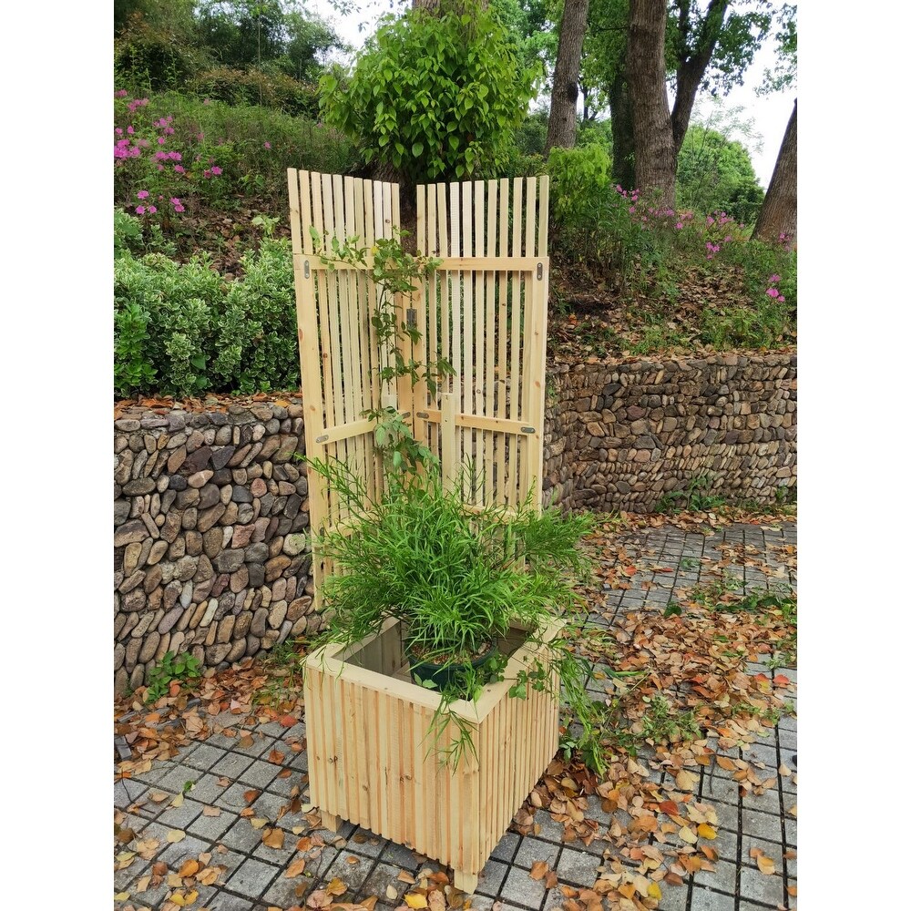 70in x 20in x 20in Wooden Cafe Barrier Planter with Trellis   1 Set