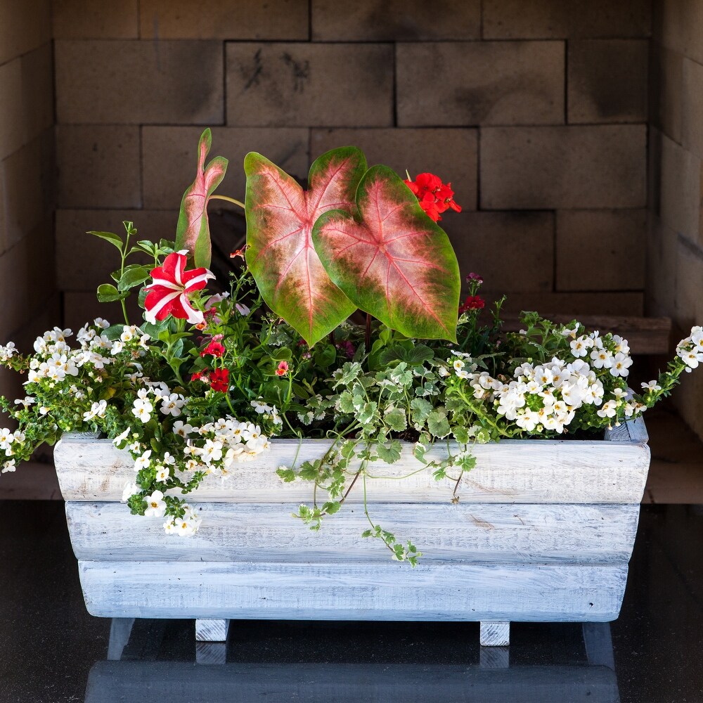 Whitewash Wood Planter