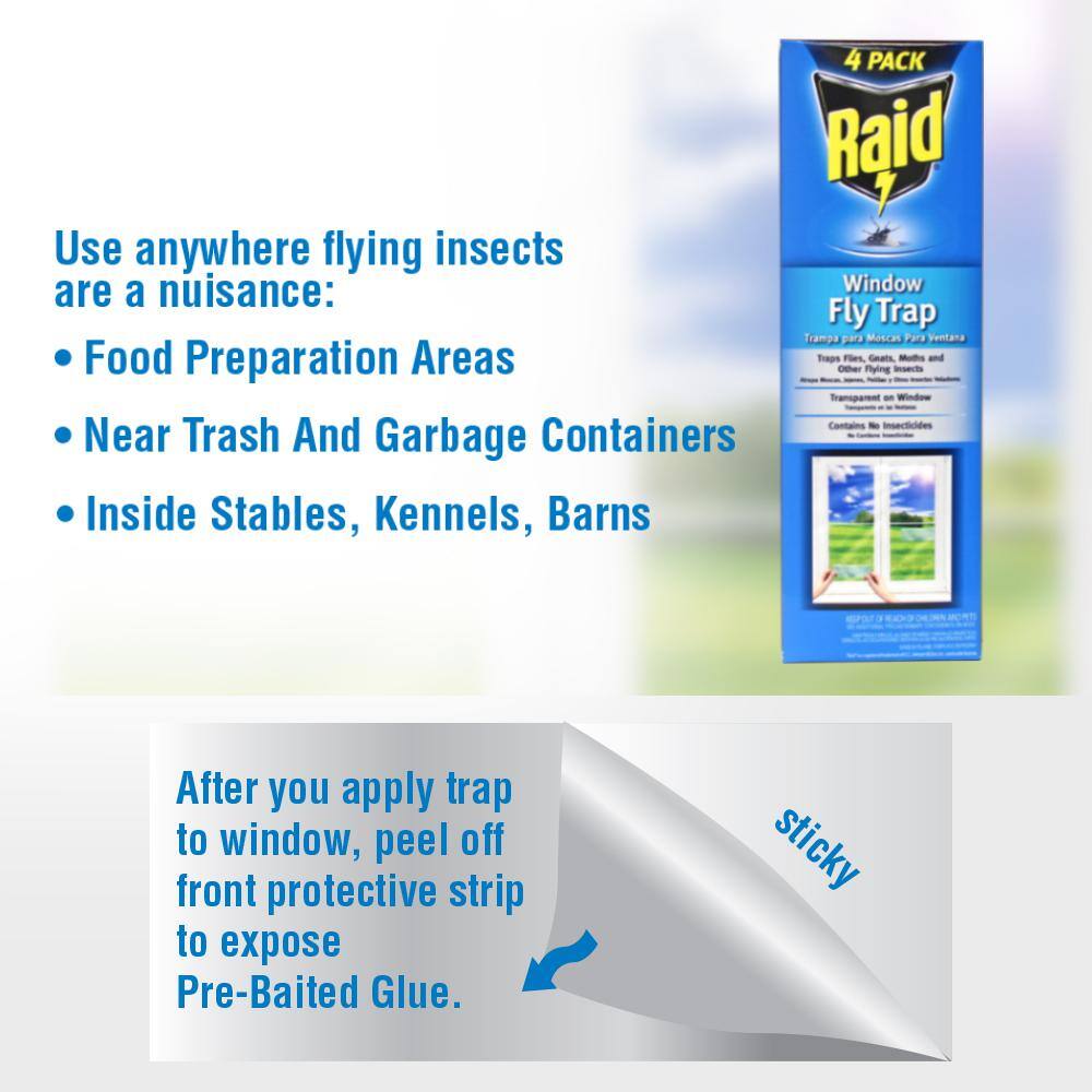 Raid Window Fly Trap (4- Pack) FTRP-RAID