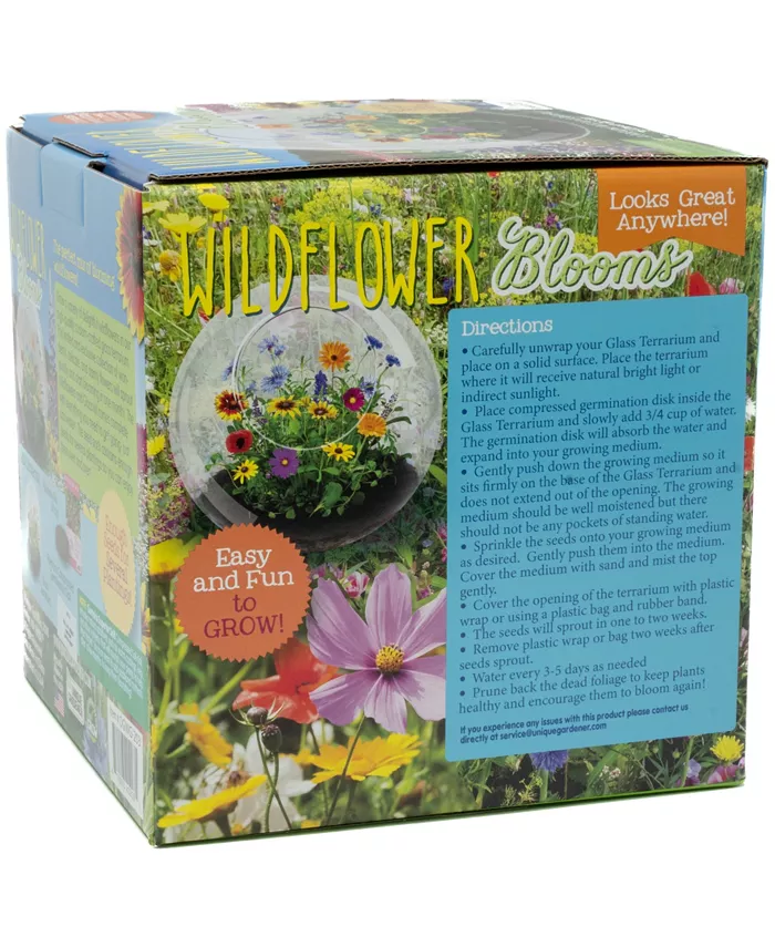 Areyougame Unique Gardener Glass Terrarium Wildflower Blooms Plant Kit