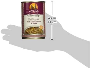 Weruva Hot Dayam! With Luscious Lamb in Gelee Grain-Free Canned Dog Food 14 Ounce (Pack of 12)