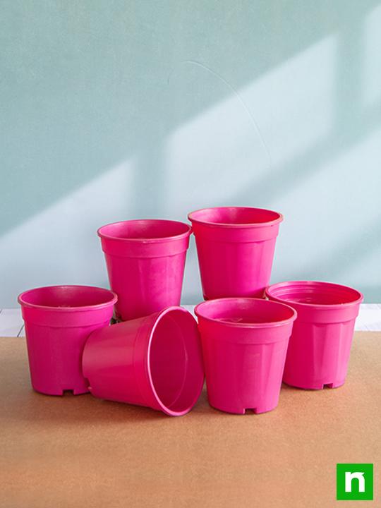 6 inch (15 cm) Grower Round Plastic Pot (Dark Pink) (set of 6)