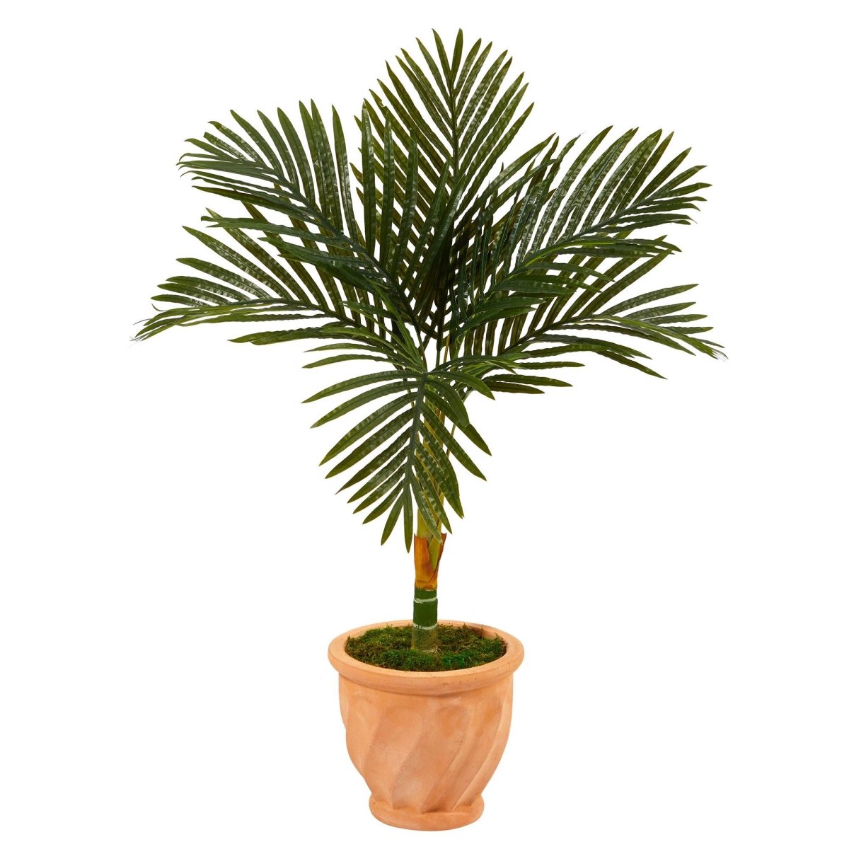 3.5' Golden Cane Artificial Palm Tree – Ed's Plant Shop