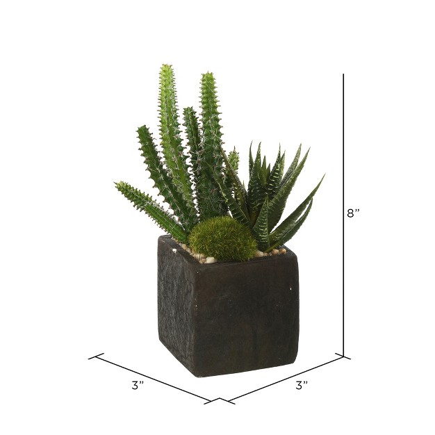 Artificial Green Succulent Arrangement Pack Of 2