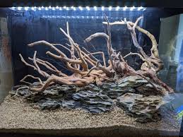 Aquarium Hardscape: SpiderWood (Small 6-10 Inches)