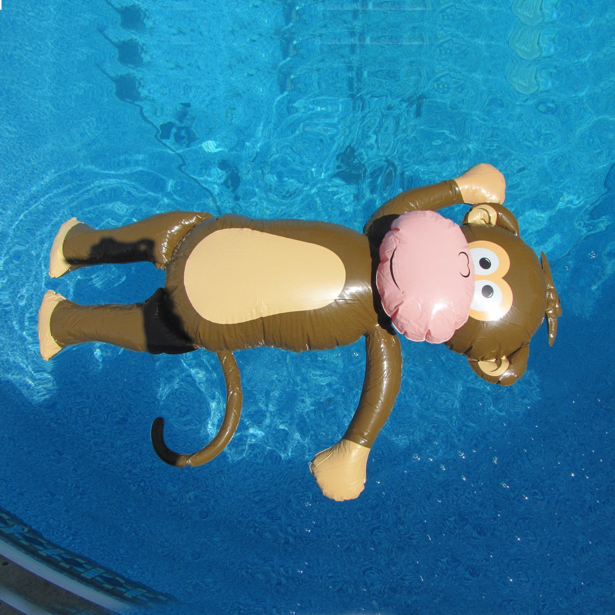 Giant 55" Inflatable Monkey Swimming Pool Float Water Party Toy Zoo Animal Floaties