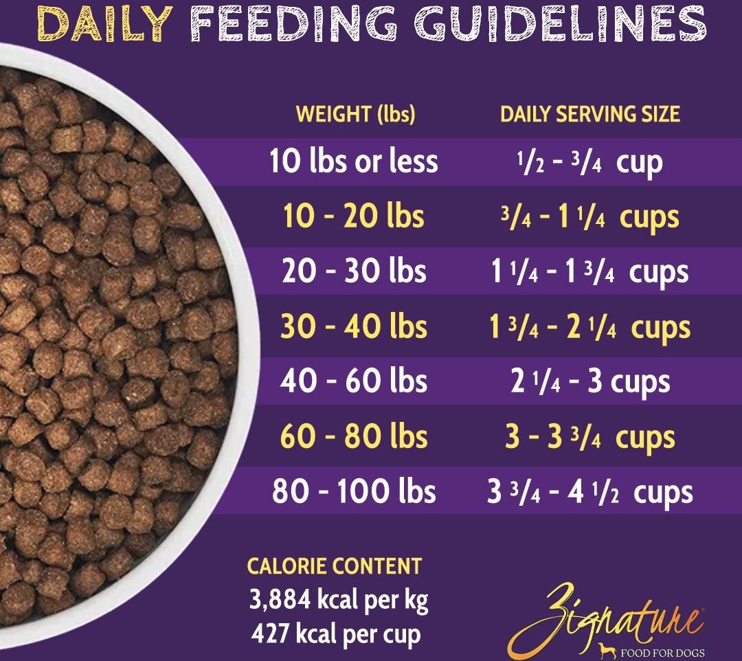 Zignature Kangaroo Formula Small Bites Dry Dog Food