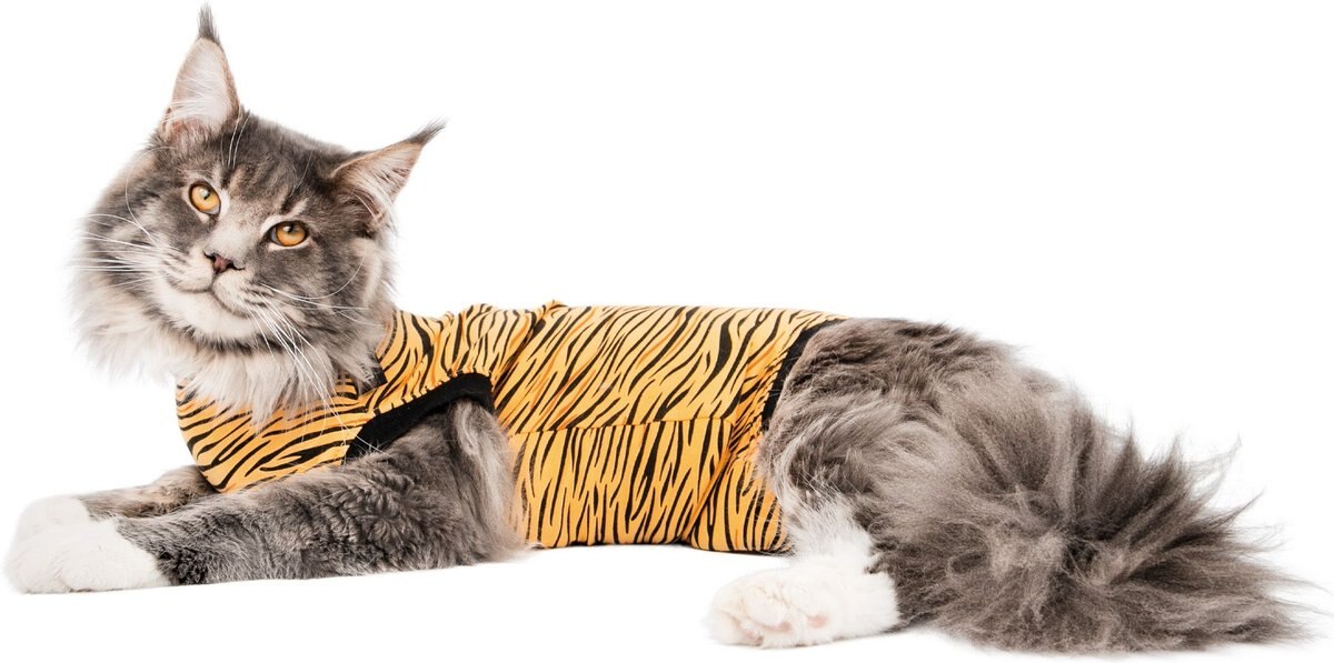 Suitical Recovery Suit Cat Apparel， Tiger Print