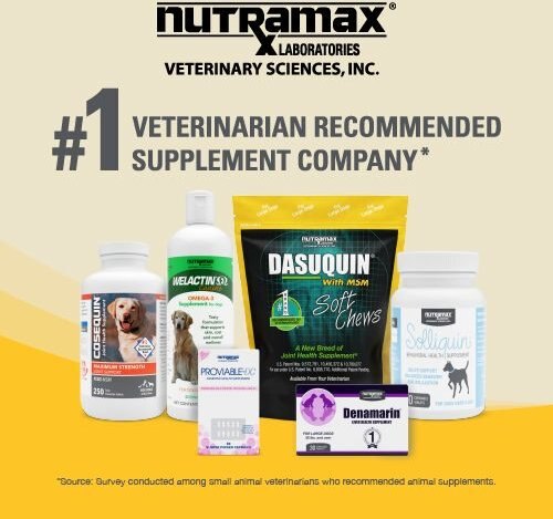 Nutramax Dasuquin Hip and Joint with MSM Chewable Tablets Joint Supplement for Small and Medium Dogs