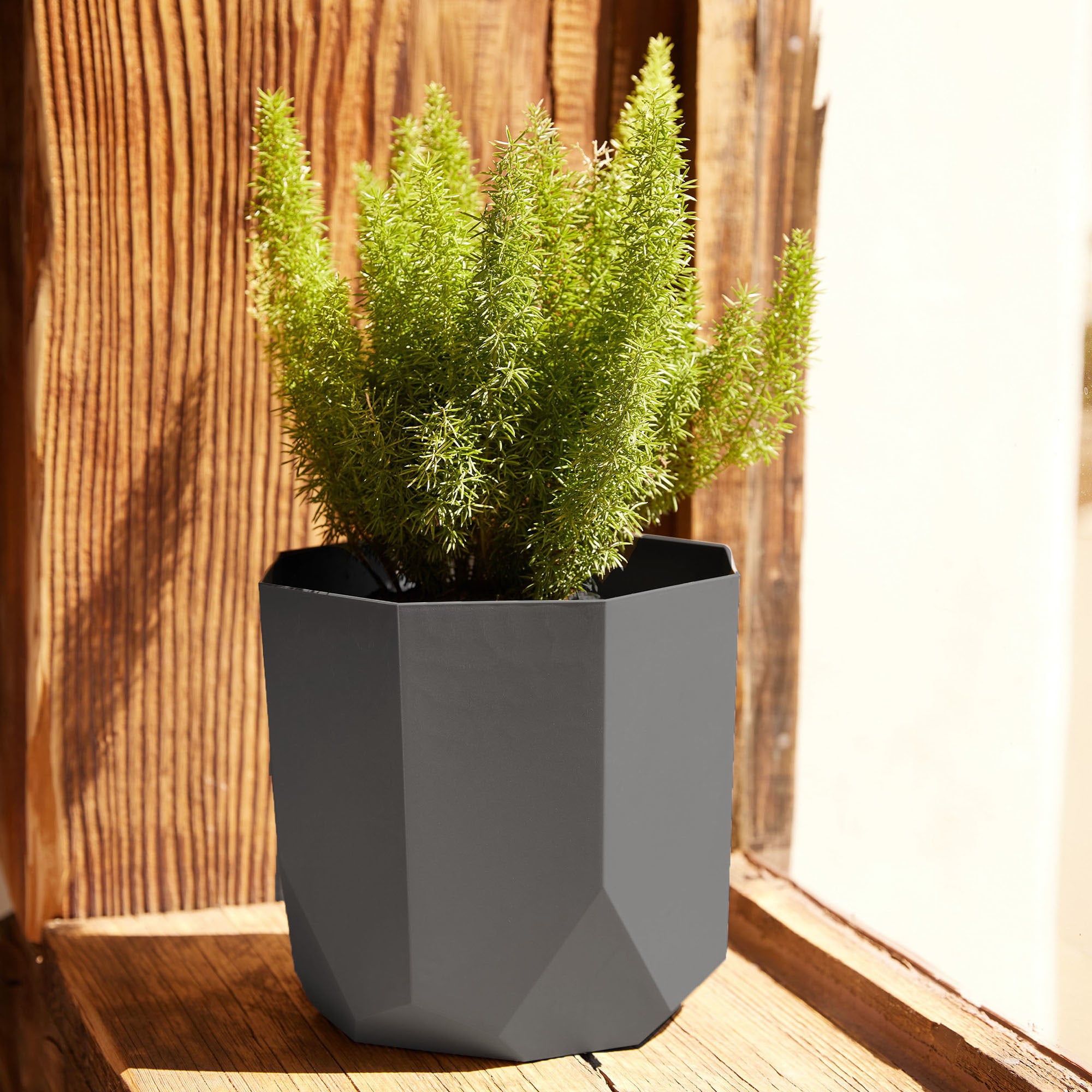 Bloem Tuxton Modern Hexagon Small Planter: 10" - Charcoal - Matte Finish, Durable Resin, Modern Design, Optional Drainage Holes, For Indoor and Outdoor Use, Gardening, 2.7 gallon capacity