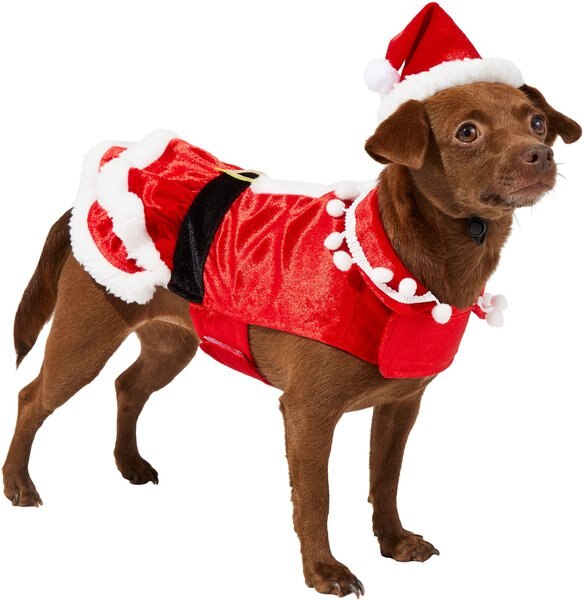 Frisco Mrs. Claus Dog and Cat Costume