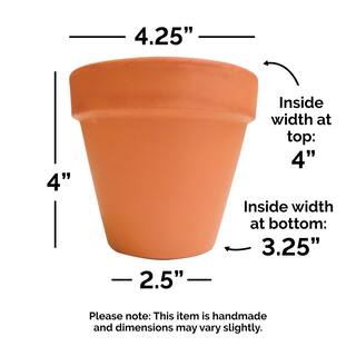 Pennington 4.25 in. Small Terra Cotta Clay Pot 100043011