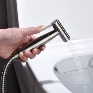 matrix decor Modern Single-Function Dual-Mount Handheld Bidet Sprayer in Stainless Steel MD-AL33401NC