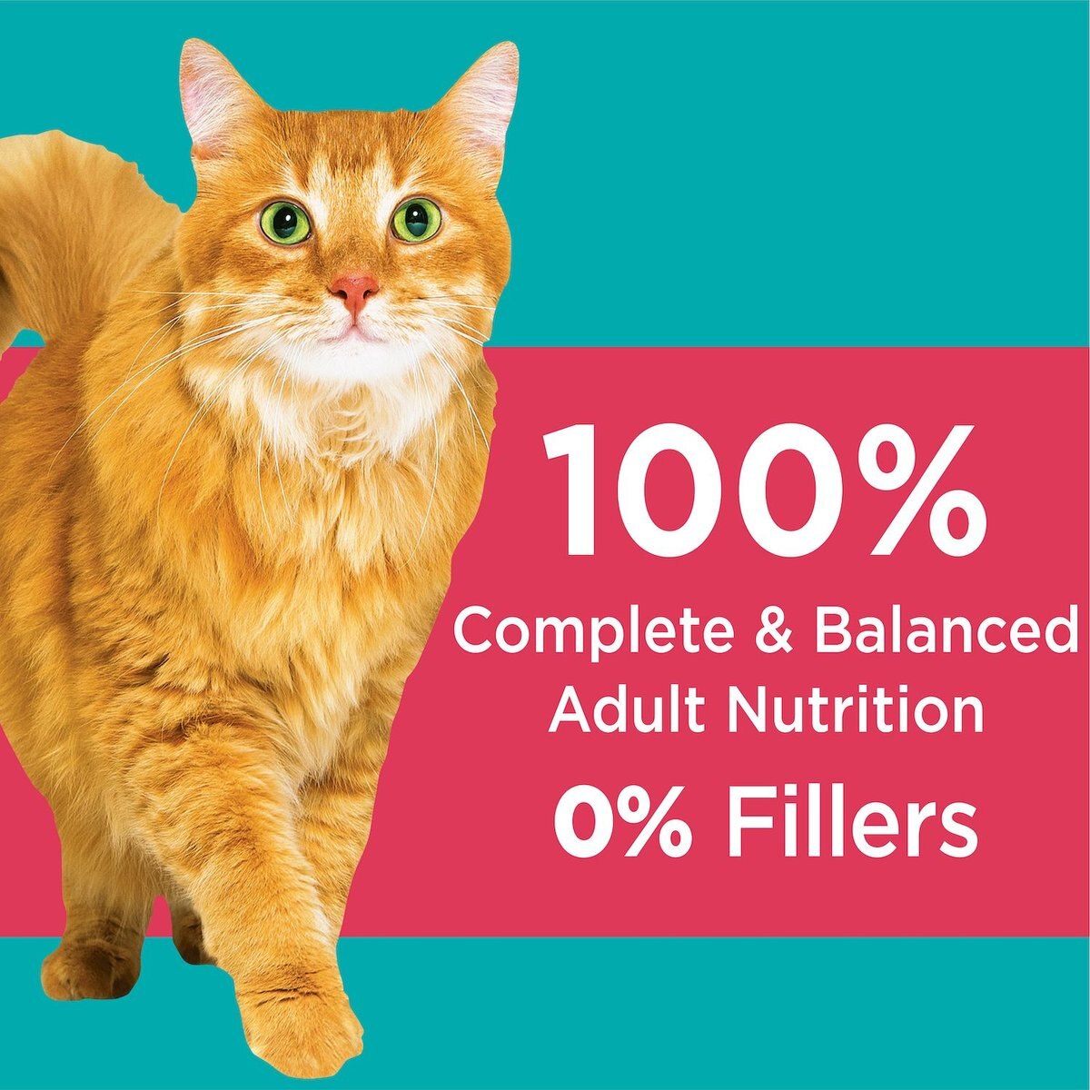 Iams ProActive Health Adult Indoor Weight and Hairball Care with Salmon Dry Cat Food