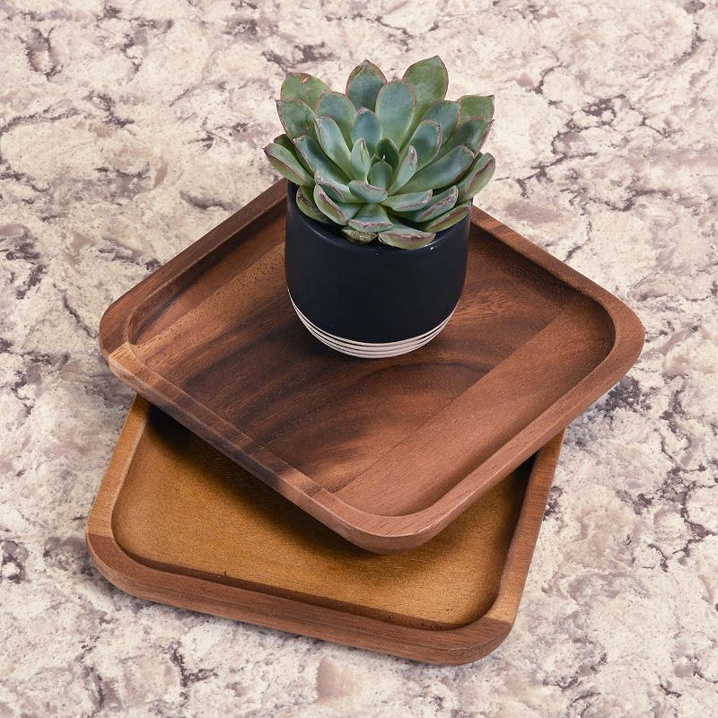 Square Plates - Large - S/2