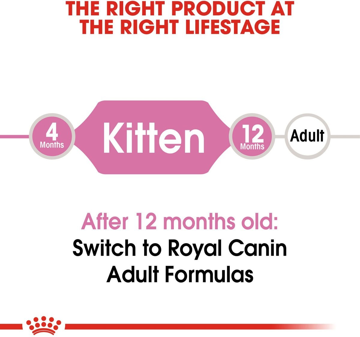 Royal Canin Feline Health Nutrition Kitten Dry Cat Food