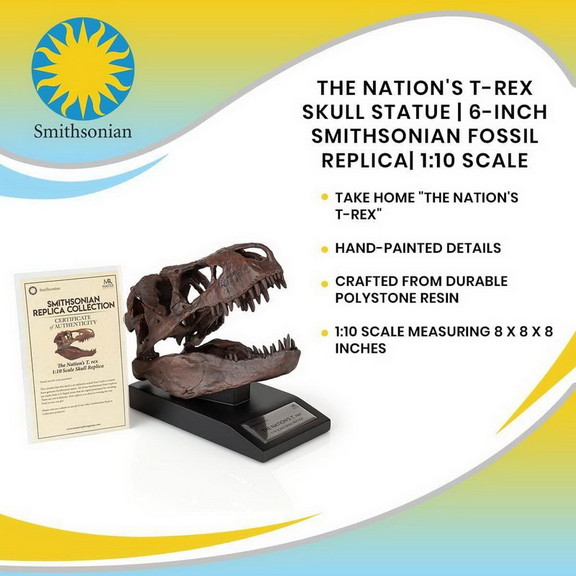 The Nation's T Rex Skull Statue  6 Inch Smithsonia...