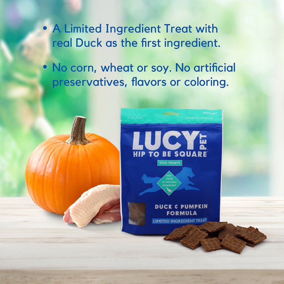 Lucy Pet Products Hip To Be Square Duck and Pumpkin Formula Grain-Free Dog Treats