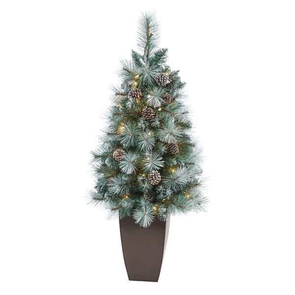 3.5' Brit Columbia Pine Xmas Tree w/50 Lights in Planter