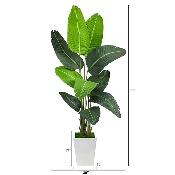 5.5' Travelers Palm Artificial Tree in White Metal Planter