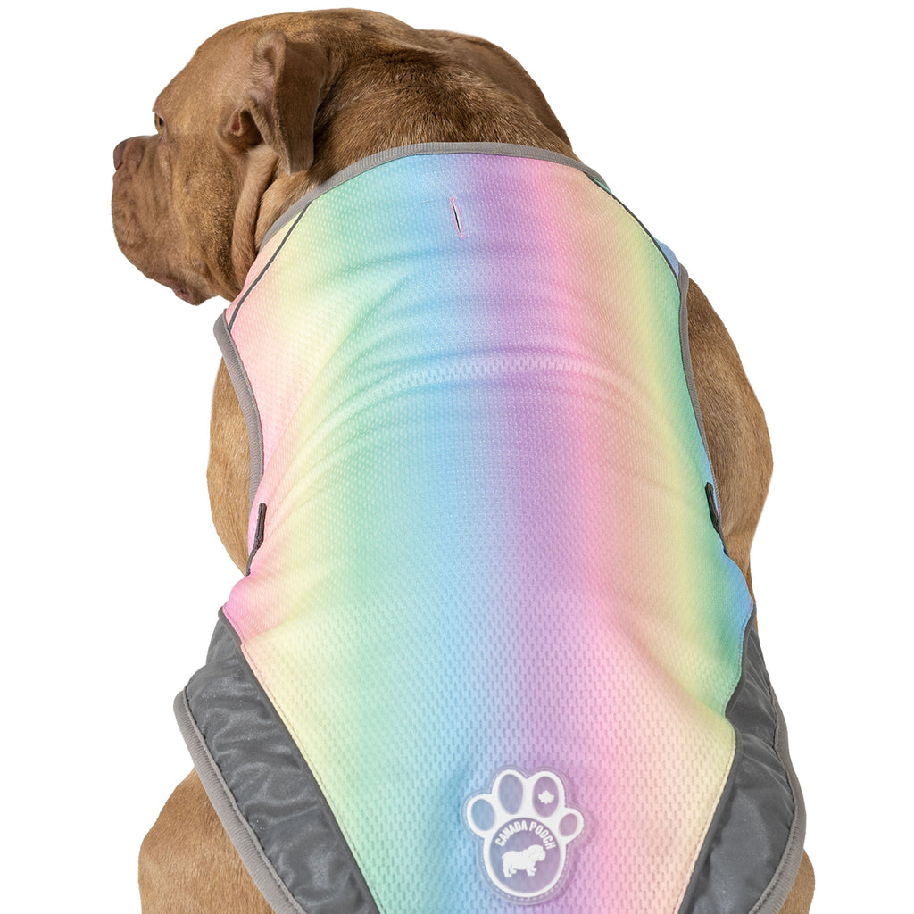 Canada Pooch Chill Seeker Rainbow Cooling Dog Vest