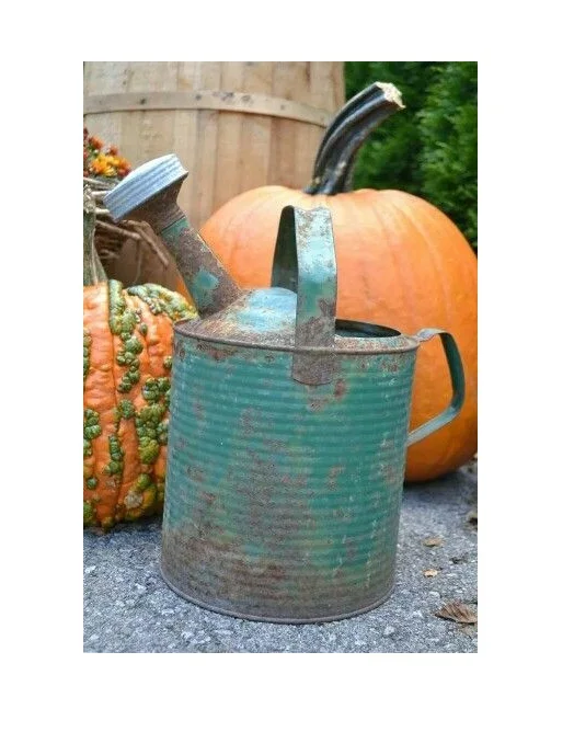 Best Design Hand Finished Galvanized Iron Watering Can Garden Decoration Fancy Design Galvanized Iron Water Can