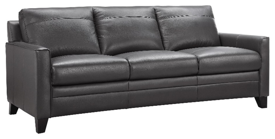 Leather Lusso Pratt Contemporary Genuine Leather  ampHardwood Sofa in Charcoal   Contemporary   Sofas   by Homesquare  Houzz