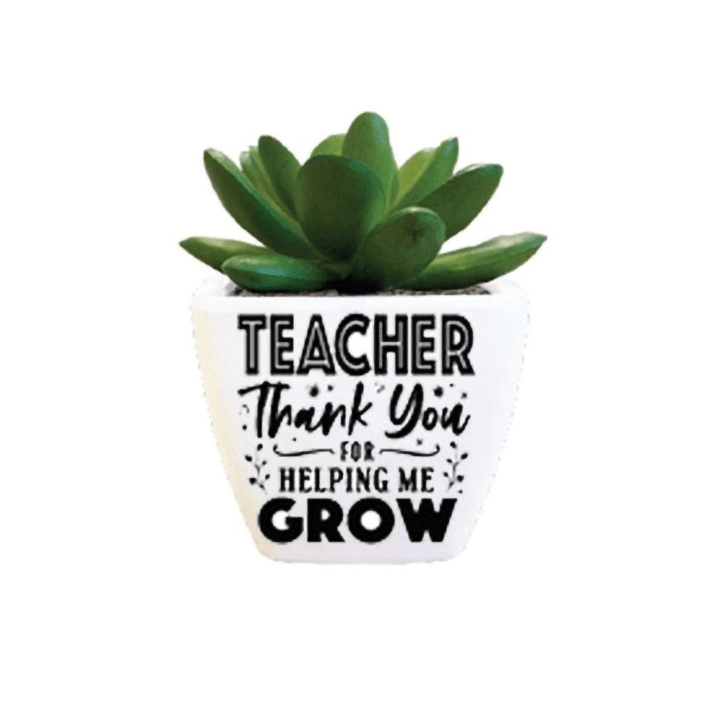 H & H Gifts  Succulent - Teacher - Thank You For Helping Me Grow