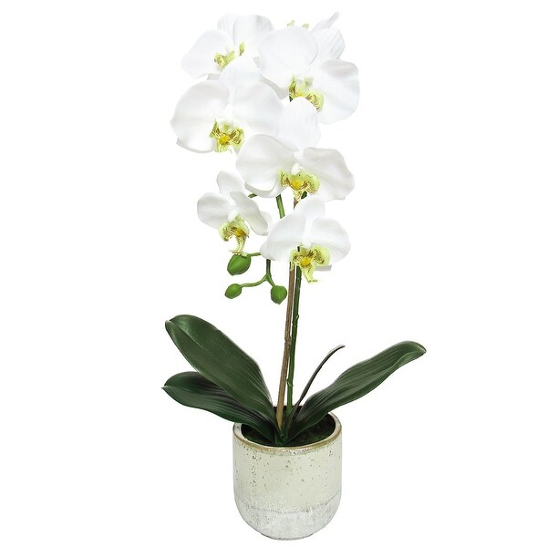 White Artificial Phalaenopsis Orchid Flower Arrangement in Half Glazed Ceramic Pot 22in