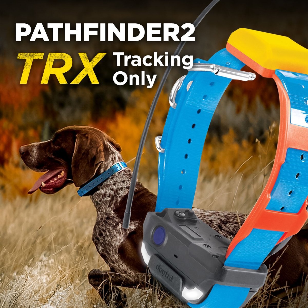 Dogtra Pathfinder2 Trx Dog Tracking Only Additional Receiver Collar