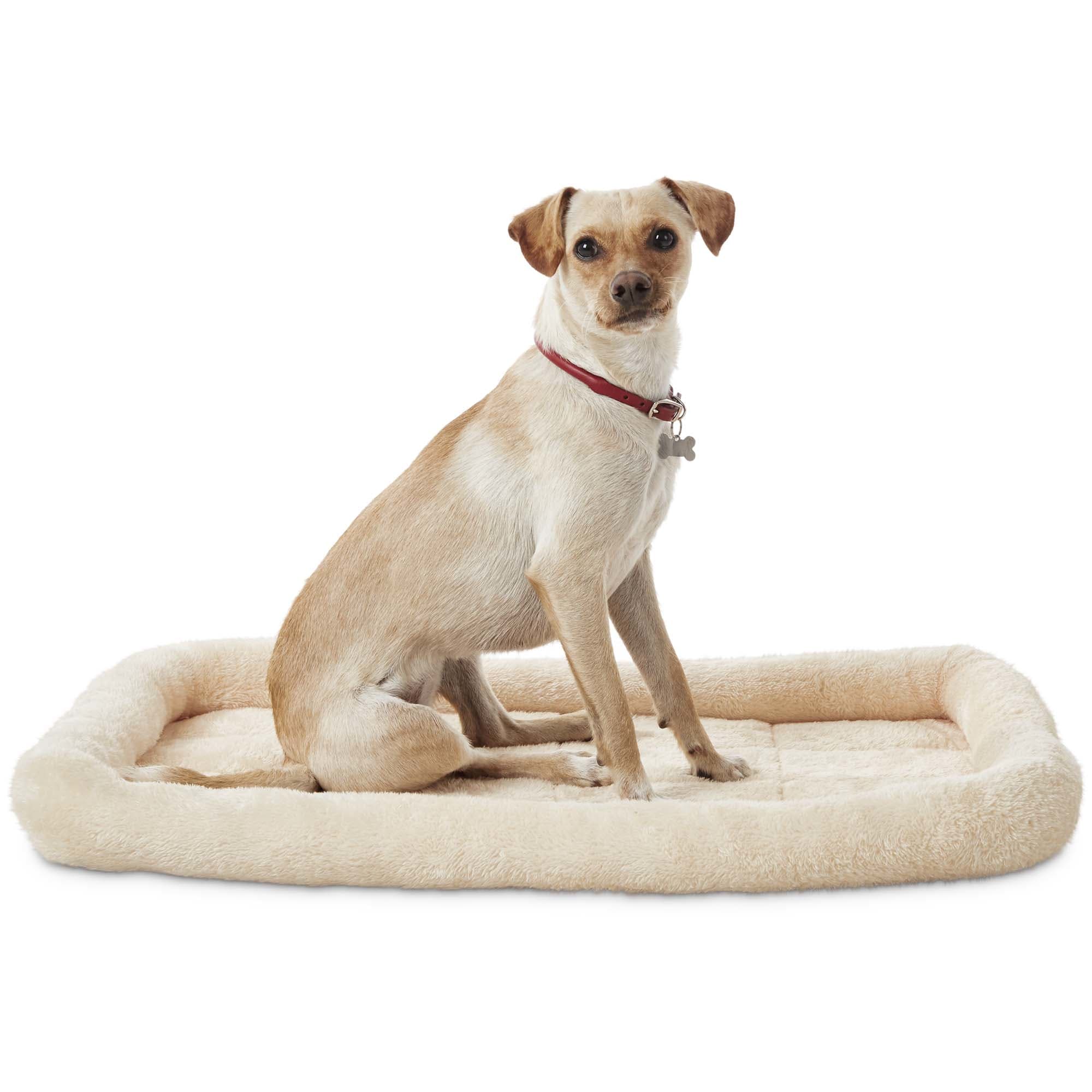 EVERYYAY Essentials Happy Place Basic Dog Crate Mat and Pet Bed， XX-Small