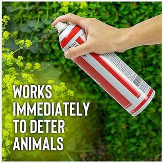 ANIMAL STOPPERS Squirrel Stopper Repellent 32 oz. Ready-to-Use SQ-U-016