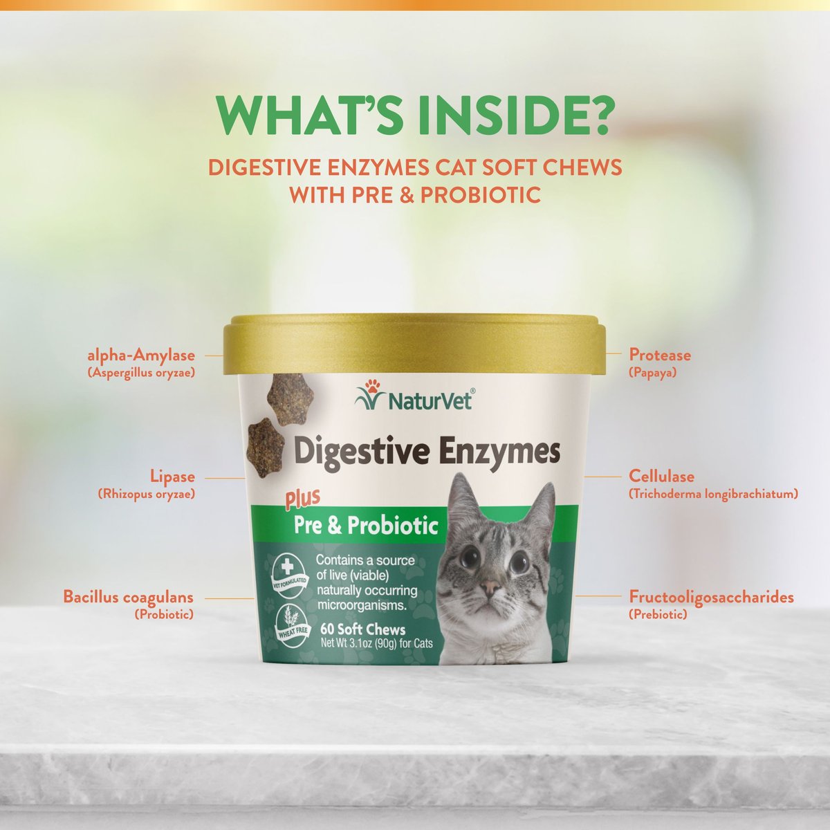 NaturVet Digestive Enzymes Plus Probiotic Soft Chews Digestive Supplement for Cats