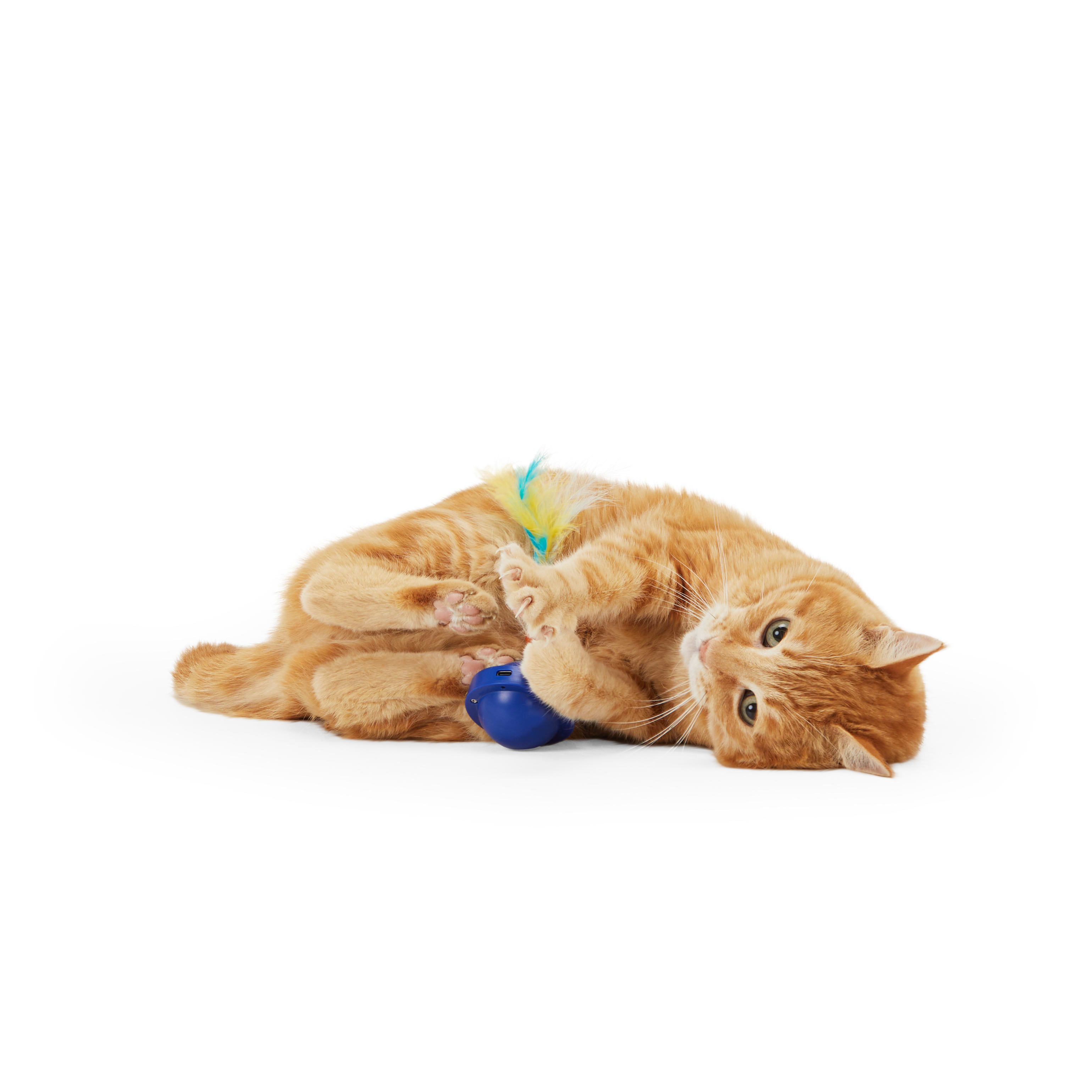 LEAPS  BOUNDS Electronic Spinning Cat Toy