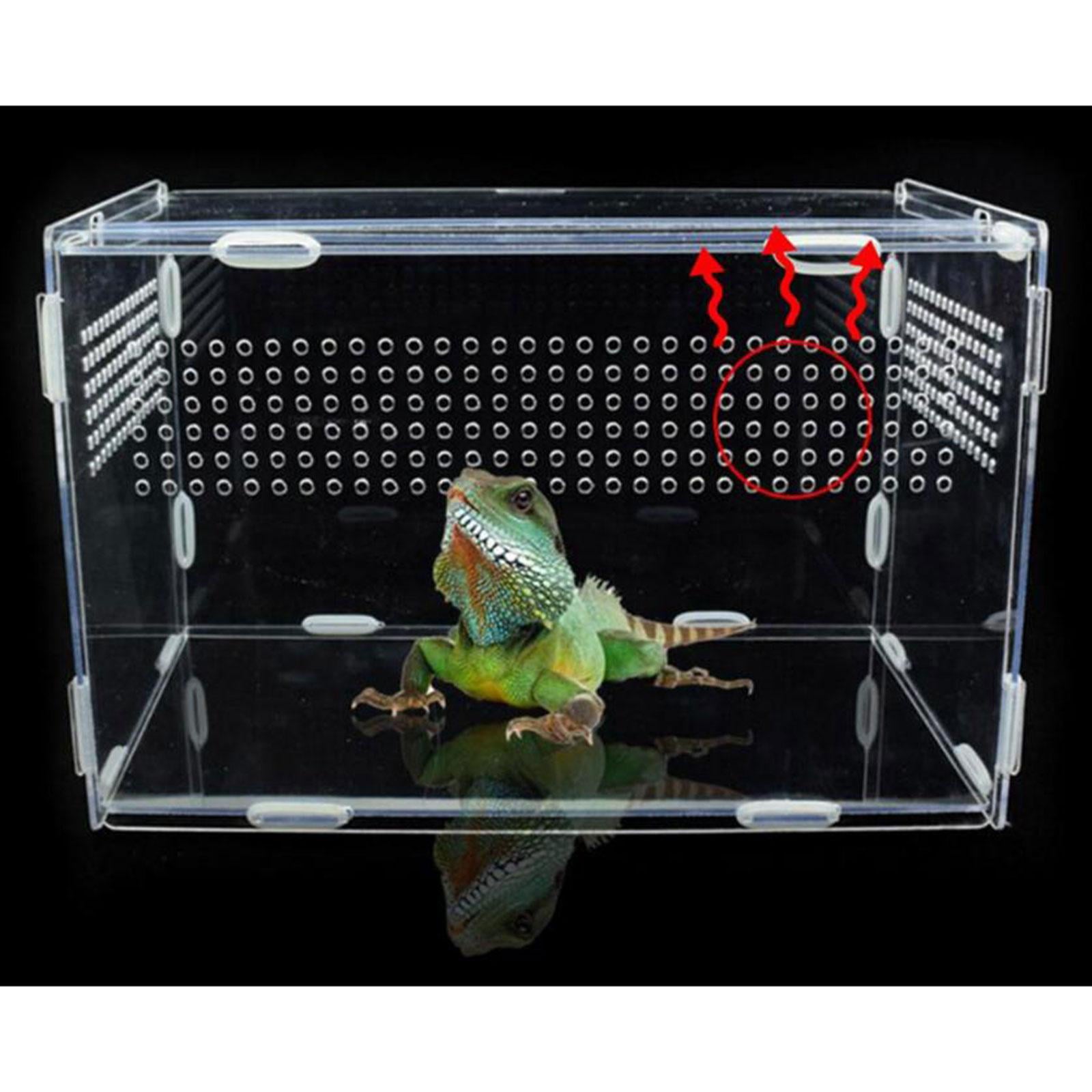 Reptile Breeding Box Clear Acrylic Feeding Box Transport Storage Box Reptile Terrarium Tank for Invertebrates Isopods Turtle Scorpion