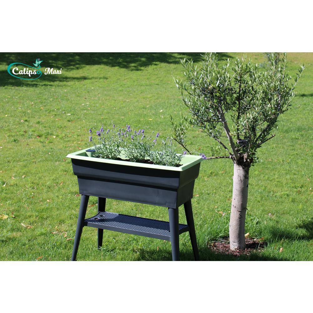 Bosmere English Garden Maxi 32 in. L x 15 in. W x 31-12 in. H Self Watering Plastic Raised Garden Bed L770