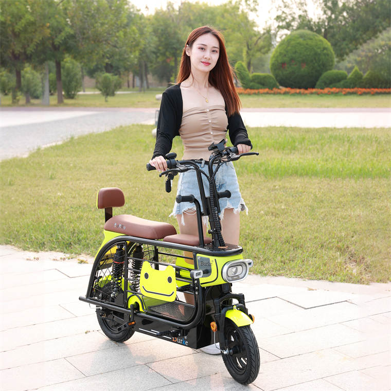 2023 new style High quality Adult Popular Foldable 350w 36v 10ah cycle  mini three wheeled electric bike  pet bike